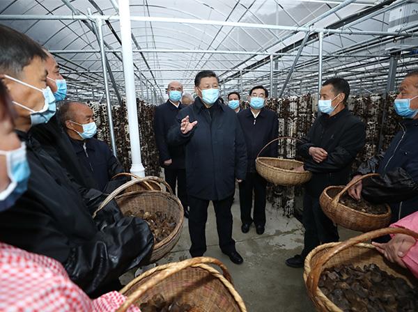 习近平总书记考察h片
援建的金米村智能连栋木耳大棚